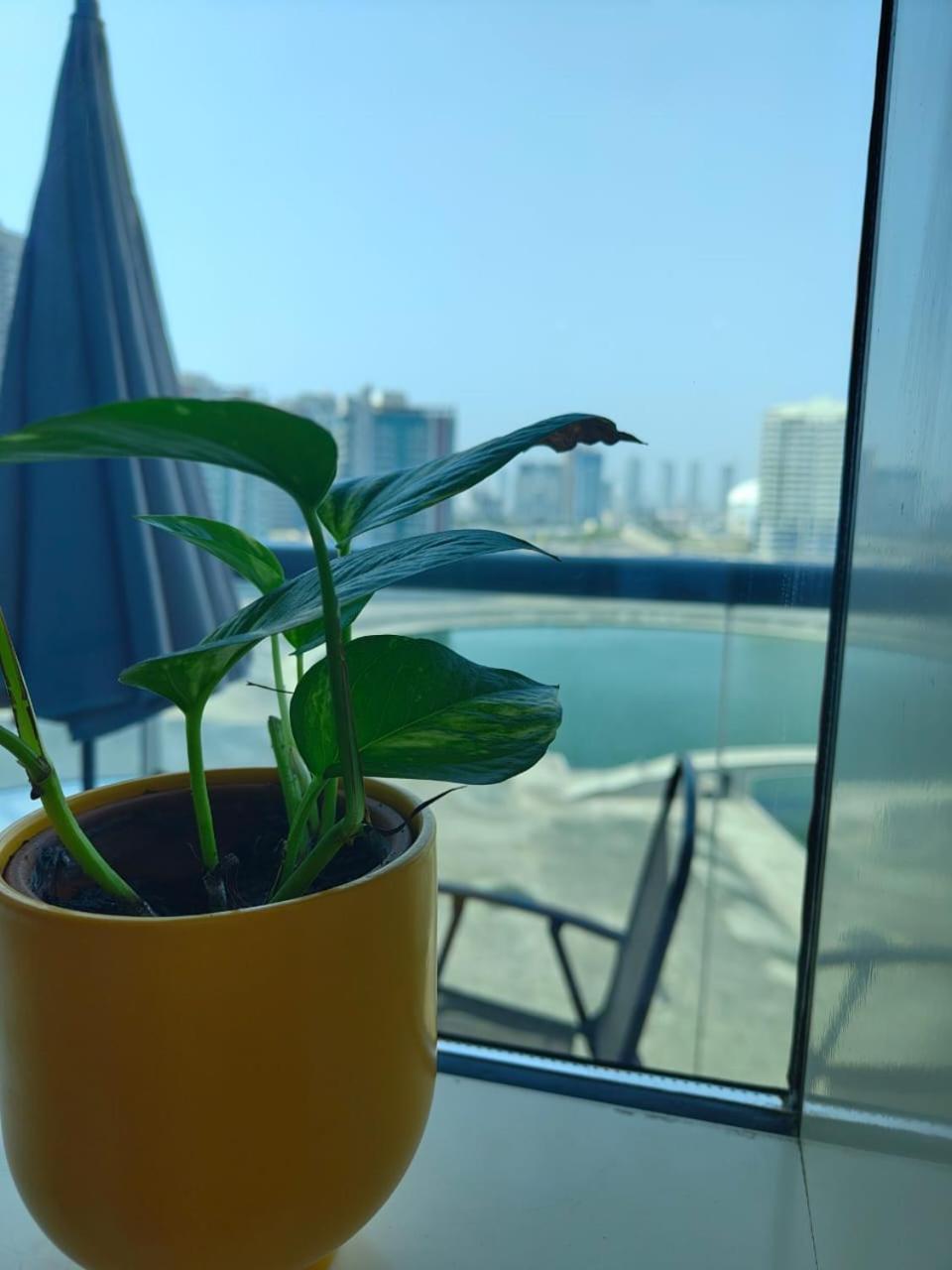 Studio In The Heart Of Sports City -Great View & Amenities! دبي المظهر الخارجي الصورة